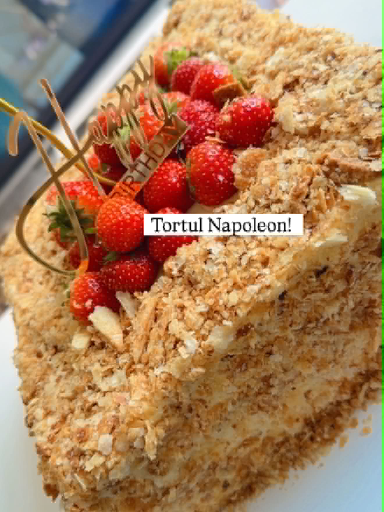 Tortul Napoleon Zum Zet